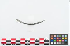 Foto von Bronzegefäßhenkel (NHMW-PRAE-025057)